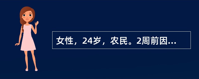 女性，24岁，农民。2周前因家中被盗急起精神失常，兴奋话多，疑神疑鬼，胡言乱语，打人毁物，近2天病情加重而入院。2周前因家中被盗，丢失500元，当晚彻夜不眠，反复想自己做事考虑不周。情绪激动，烦躁不安