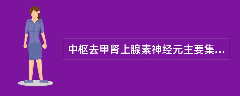 中枢去甲肾上腺素神经元主要集中于