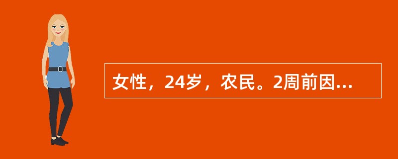 女性，24岁，农民。2周前因家中被盗急起精神失常，兴奋话多，疑神疑鬼，胡言乱语，打人毁物，近2天病情加重而入院。2周前因家中被盗，丢失500元，当晚彻夜不眠，反复想自己做事考虑不周。情绪激动，烦躁不安