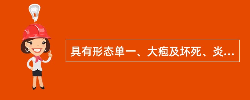 具有形态单一、大疱及坏死、炎症较重表现的是（　　）。