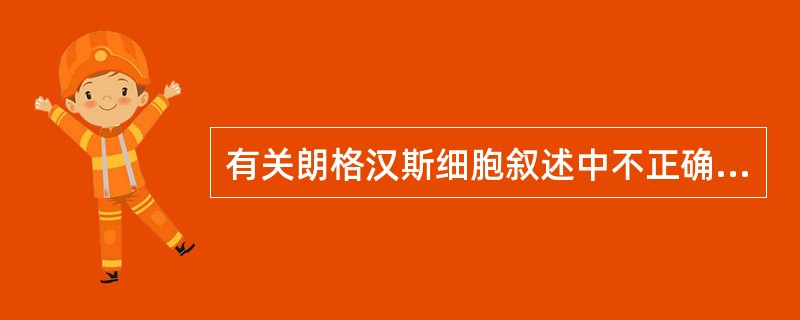 有关朗格汉斯细胞叙述中不正确的是