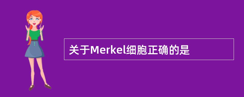 关于Merkel细胞正确的是