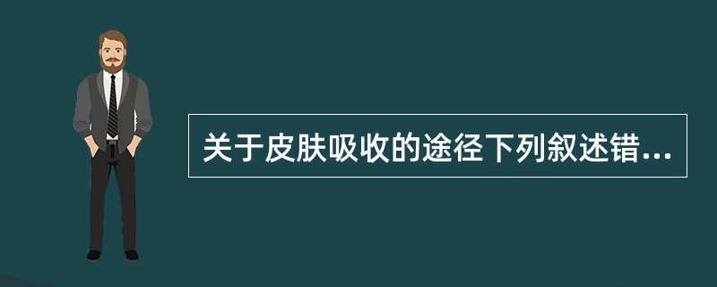 关于皮肤吸收的途径下列叙述错误的是