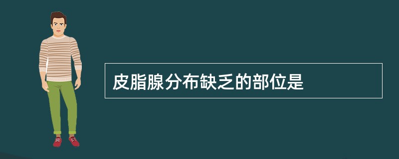 皮脂腺分布缺乏的部位是