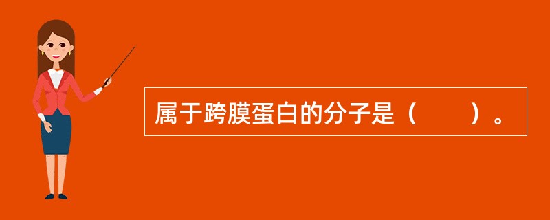 属于跨膜蛋白的分子是（　　）。