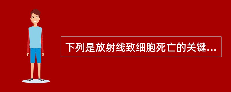 下列是放射线致细胞死亡的关键损伤为（　　）。