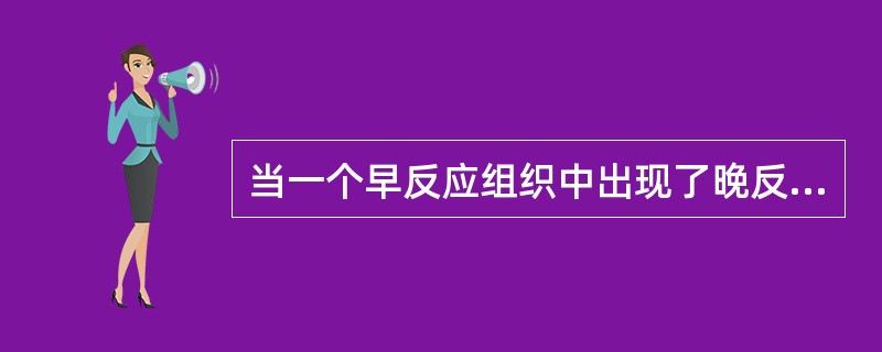 当一个早反应组织中出现了晚反应组织性质的肿瘤，在进行根治性放疗时，你认为下列不合理的是（　　）。