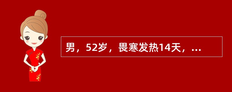 男，52岁，畏寒发热14天，查：体温39.5℃，血压75/50mmHg，右上肢可见瘀斑，双肺呼吸音粗，呼吸30次/min，肝肋下未扪及，脾肋下恰扪及；Hb112g/L,WBC18×10<img