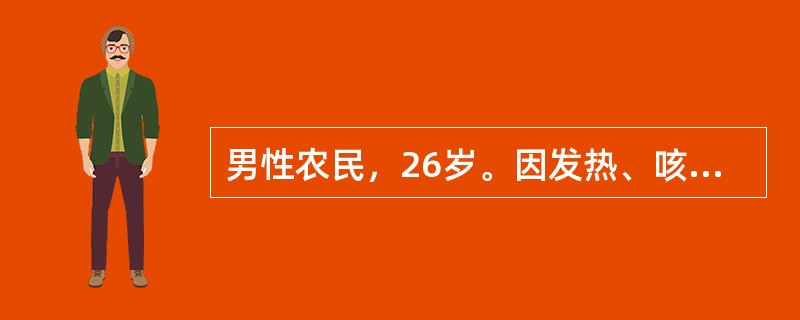 男性农民，26岁。因发热、咳嗽2周，鼻出血、牙龈出血伴皮肤大片瘀斑3天入院。体检：中度贫血貌，胸骨中段明显压痛，脾肋下1cm，上臂及臀部大片瘀斑。化验：Hb72g/L，WBC3.8×10<img