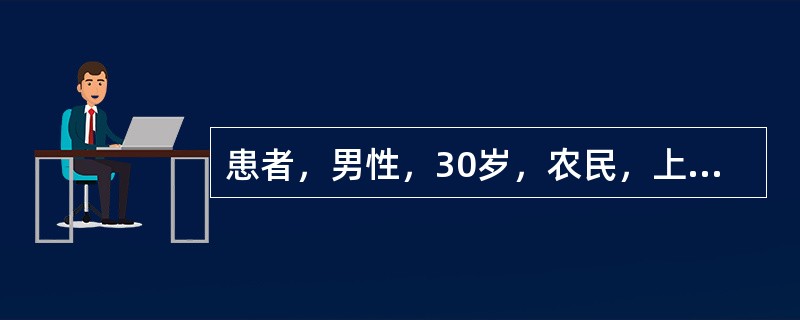患者，男性，30岁，农民，上腹隐痛4年，与饮食有关，间有黑便，检查：血红蛋白80g／L，红细胞总数3.2×10／L，白细胞总数5×10／L，血小板150×10／L，诊断为（　）。