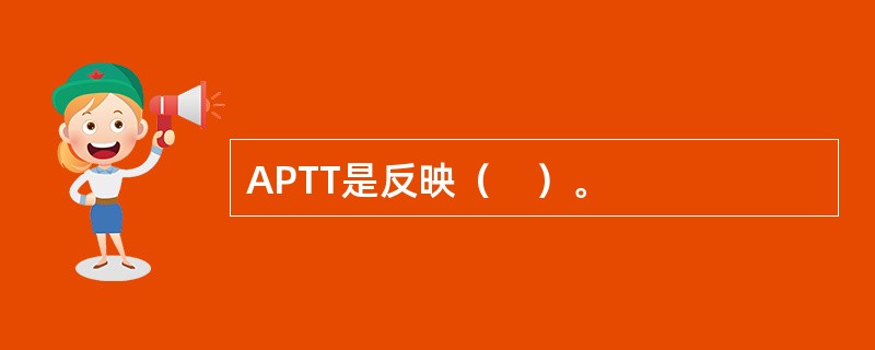 APTT是反映（　）。