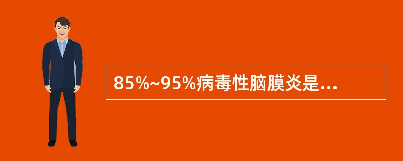 85%~95%病毒性脑膜炎是由哪种病毒引起（　）。