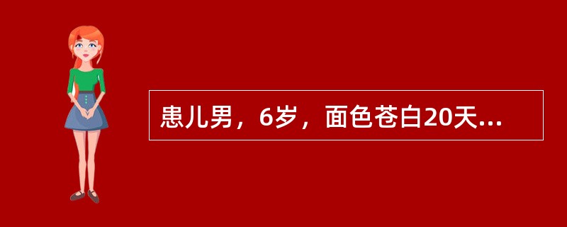 患儿男，6岁，面色苍白20天，皮肤出血点.牙龈出血2周。查体:贫血貌，全身皮肤散在出血点，牙龈轻微出血，浅表淋巴结无肿大；心.肺正常，腹平软，肝脾未触及。血常规:Hb60g/L，WBC5×109/L，