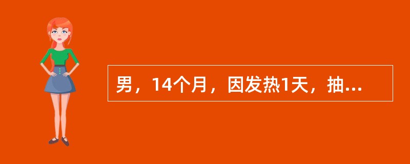 男，14个月，因发热1天，抽搐1次而就诊。无呕吐及腹泻，发热当时39.5℃，抽搐为全身发作性，持续2分钟左右缓解急来院。该病儿按年龄分期应为