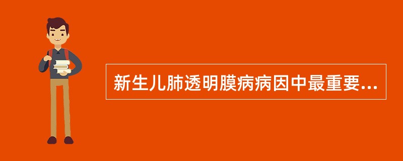 新生儿肺透明膜病病因中最重要的因素是