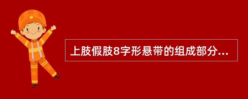 上肢假肢8字形悬带的组成部分不包括（　　）。