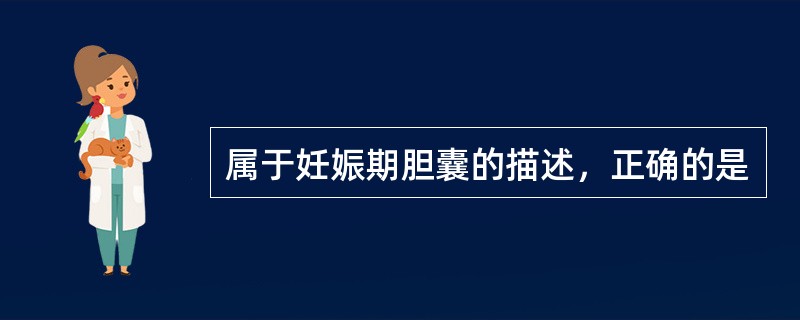 属于妊娠期胆囊的描述，正确的是