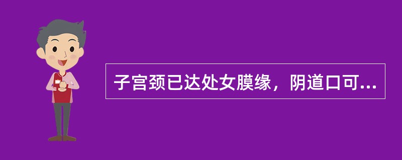 子宫颈已达处女膜缘，阴道口可见宫颈，其分度为