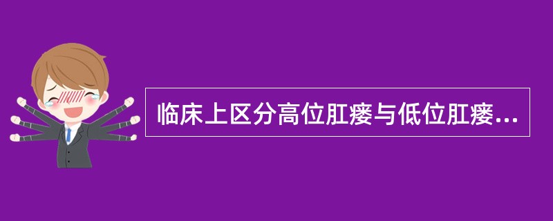 临床上区分高位肛瘘与低位肛瘘的标志为