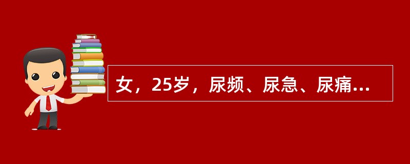 女，25岁，尿频、尿急、尿痛，血尿伴发热39℃1天入院，无呕吐、无腰痛、蛋白尿(+)，红细胞30～40/HP，白细胞满视野。病人最可能诊断为（　　）。