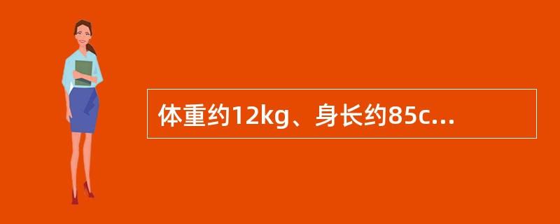 体重约12kg、身长约85cm的小儿年龄约为（　　）。