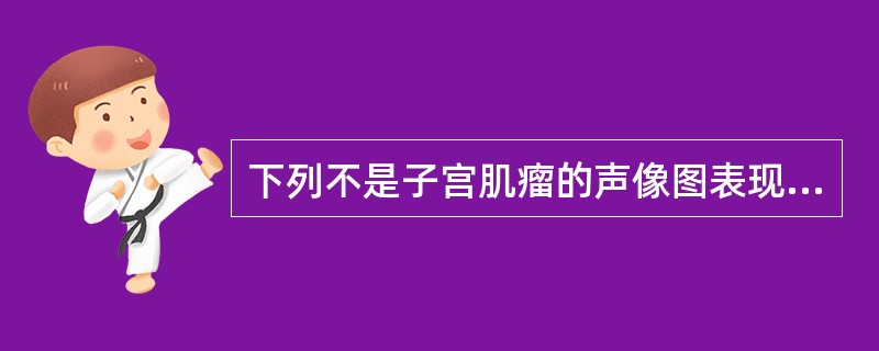 下列不是子宫肌瘤的声像图表现的是（　　）。