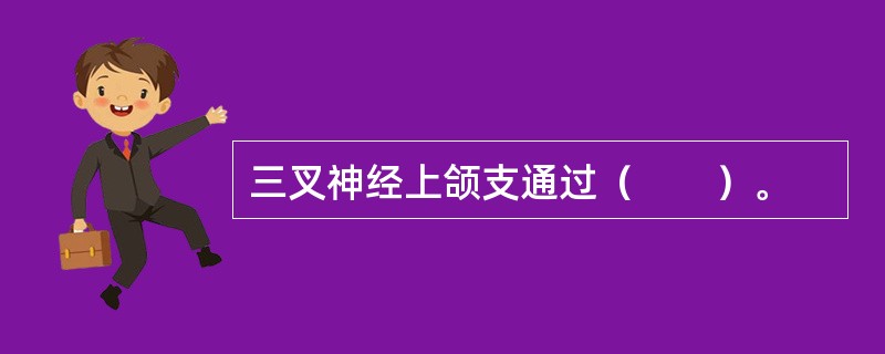 三叉神经上颌支通过（　　）。