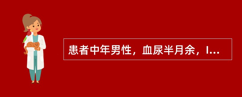 患者中年男性，血尿半月余，IVP示同侧肾盂、输尿管及膀胱均见充盈缺损。该患者哪项诊断可能性最大？（　　）