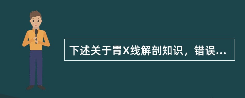 下述关于胃X线解剖知识，错误的是（　　）。