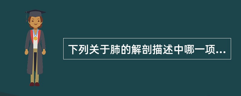 下列关于肺的解剖描述中哪一项是不正确的？（　　）