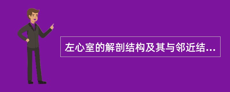 左心室的解剖结构及其与邻近结构的关系，错误的是（　　）。