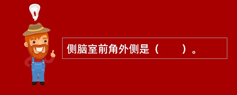 侧脑室前角外侧是（　　）。