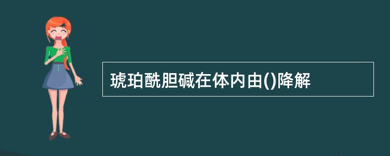 琥珀酰胆碱在体内由()降解