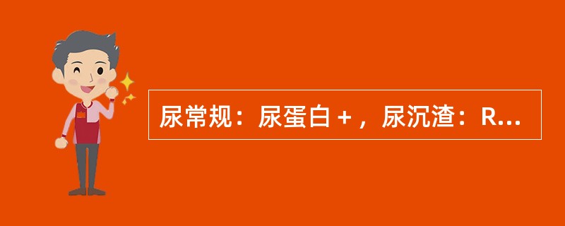 尿常规：尿蛋白＋，尿沉渣：RBC 8～10个/HP，WBC 20～30个/HP透明管型0～1/HP，应诊断为（　　）。