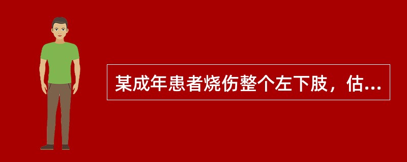 某成年患者烧伤整个左下肢，估计其烧伤面积为（　　）。