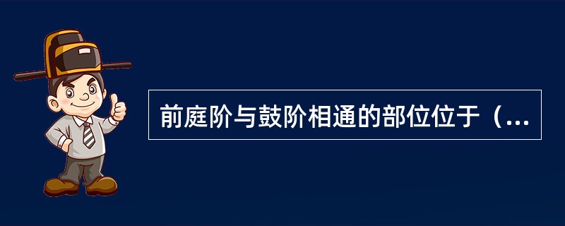 前庭阶与鼓阶相通的部位位于（　　）。