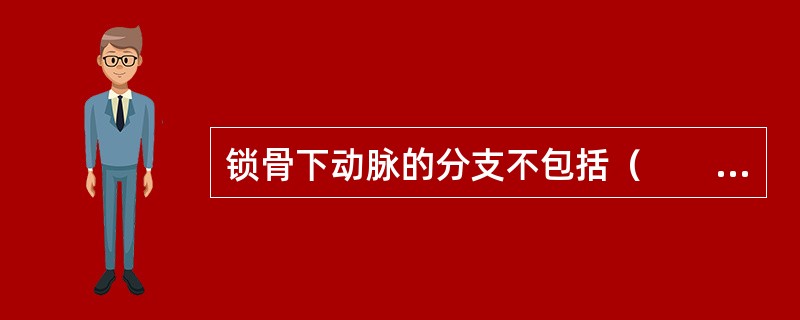 锁骨下动脉的分支不包括（　　）。