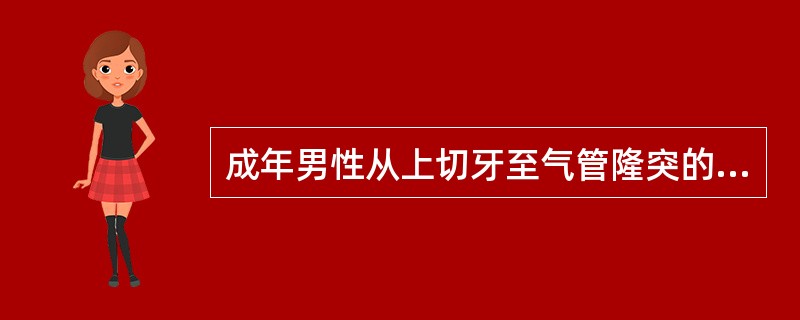 成年男性从上切牙至气管隆突的距离均为（　　）。