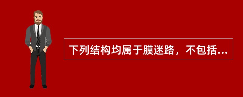 下列结构均属于膜迷路，不包括（　　）。