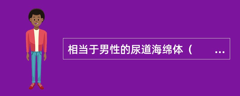 相当于男性的尿道海绵体（　　）。