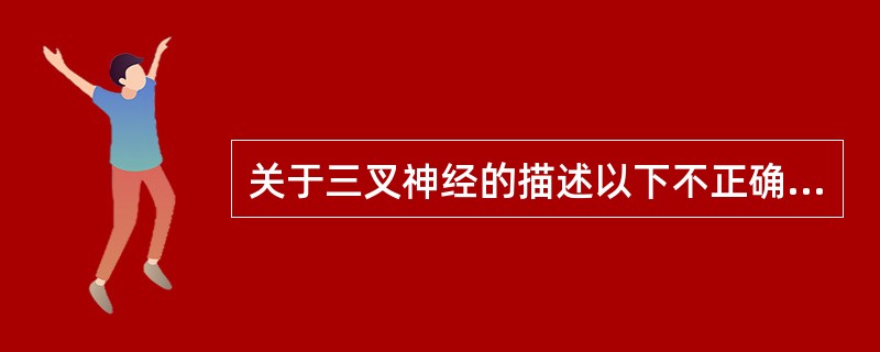 关于三叉神经的描述以下不正确的是（　　）。