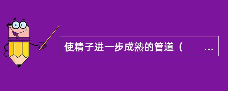 使精子进一步成熟的管道（　　）。