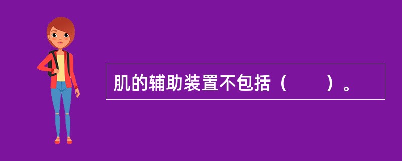 肌的辅助装置不包括（　　）。