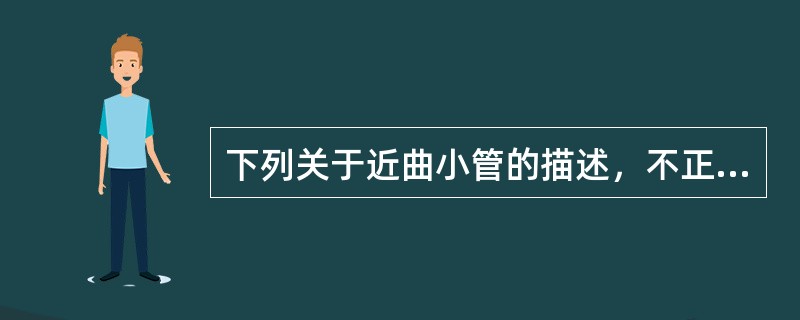 下列关于近曲小管的描述，不正确的是（　　）。