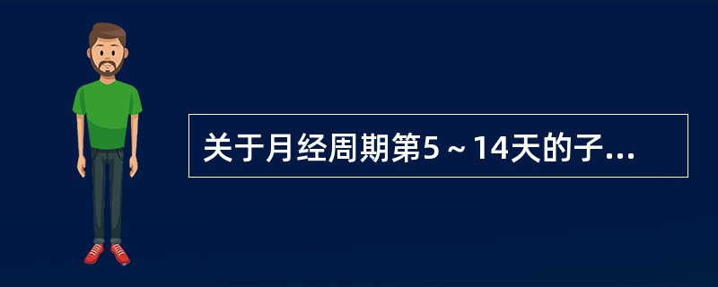 关于月经周期第5～14天的子宫内膜的描述，不正确的是（　　）。