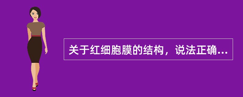 关于红细胞膜的结构，说法正确的是