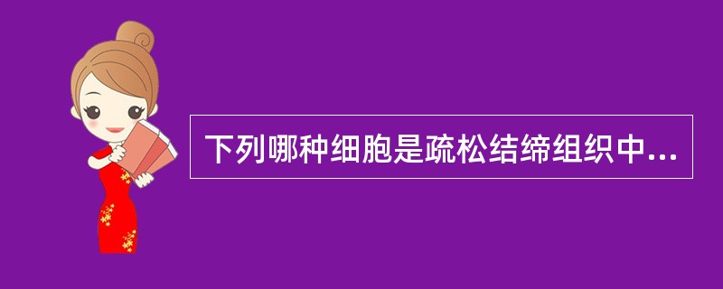 下列哪种细胞是疏松结缔组织中最基本的细胞？（　　）