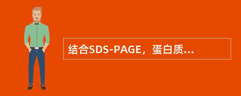 结合SDS-PAGE，蛋白质转运，酶免疫测定三项技术用于分析抗原组分的技术为