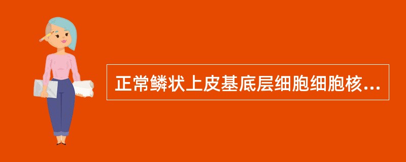 正常鳞状上皮基底层细胞细胞核和细胞质的比例为