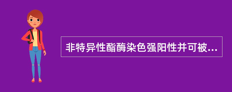 非特异性酯酶染色强阳性并可被氟化钠抑制的疾病是